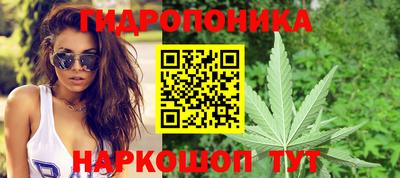 стаф Краснокаменск