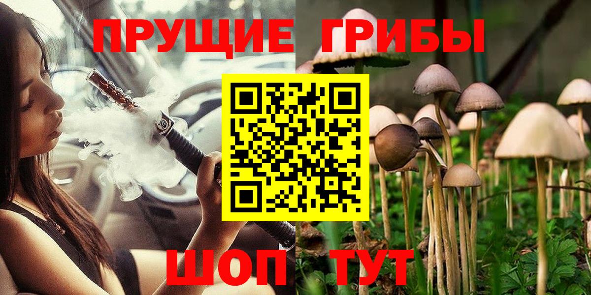 Галлюциногенные грибы Psilocybine cubensis  Вход с VPN  Коряжма 
